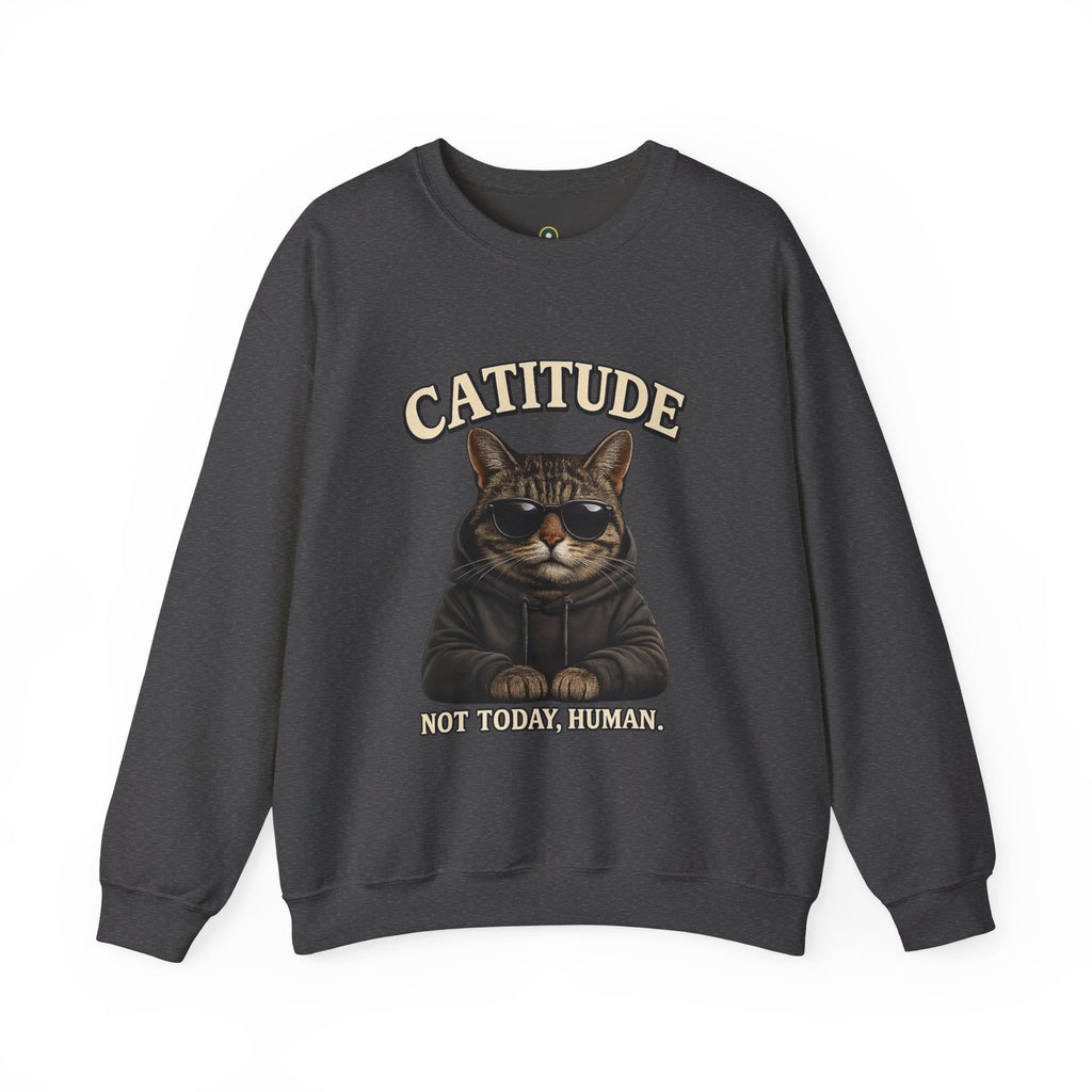Catitude Crewneck Sweatshirt — "Not Today, Human" Graphic Cat Pullover