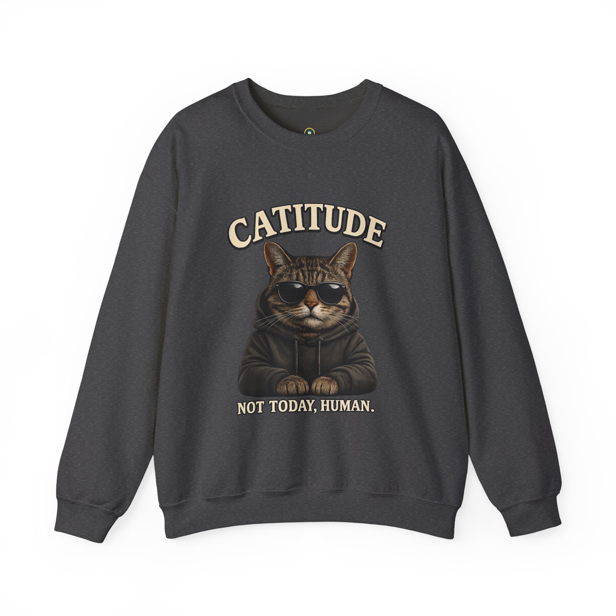Catitude Crewneck Sweatshirt — "Not Today, Human" Graphic Cat Pullover