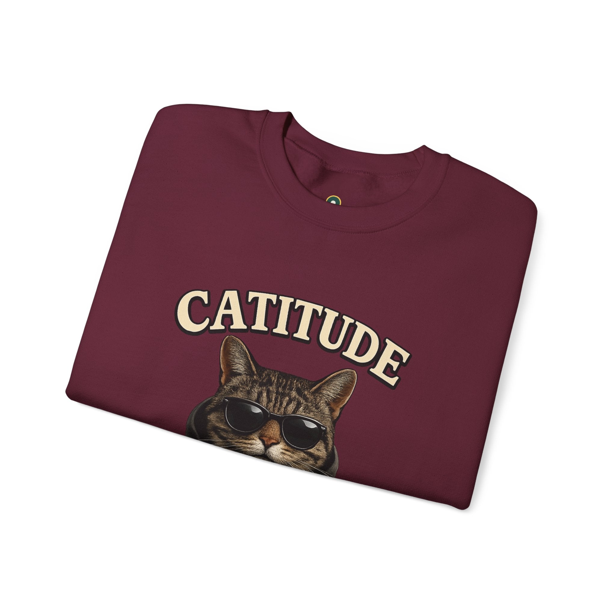Catitude Crewneck Sweatshirt — "Not Today, Human" Graphic Cat Pullover