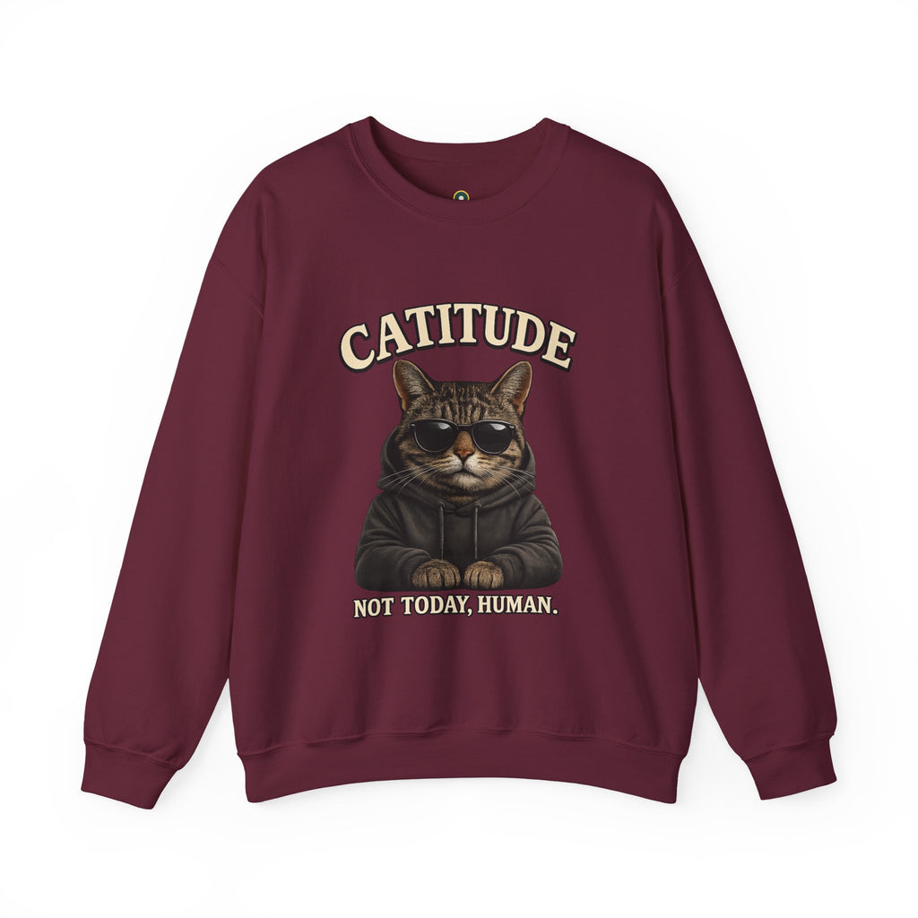 Catitude Crewneck Sweatshirt — "Not Today, Human" Graphic Cat Pullover